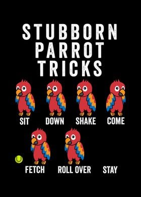 Stubborn Parrot Tricks 