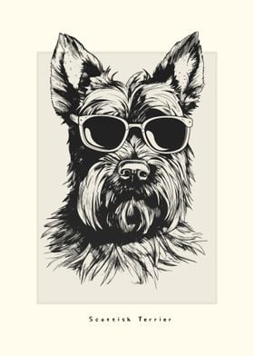 Scottish Terrier Sketch