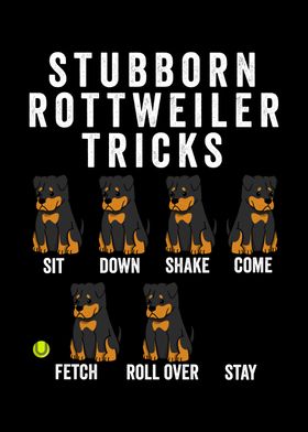 Rottweiler Tricks