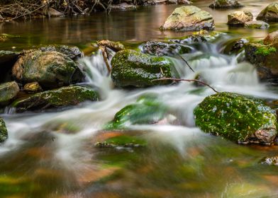 Waterways and branches