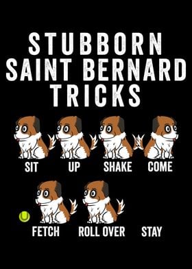 Saint Bernard Tricks