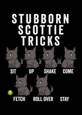 Scottish Terrier Tricks