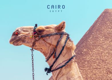 Cairo  