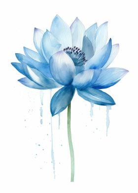 Blue Lotus Flower