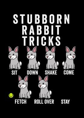 Stubborn Rabbit Tricks 