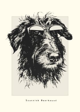 Scottish Deerhound Sketch