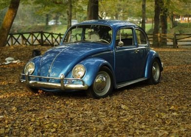 blue Volkswagen beetle