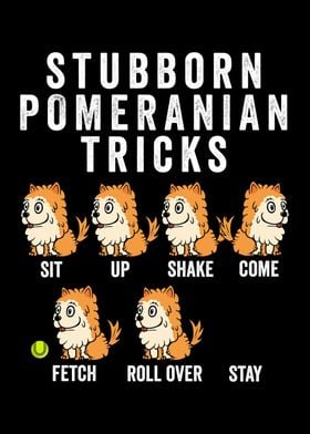 Pomeranian Tricks