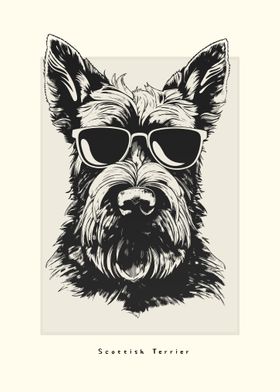 Scottish Terrier Sketch