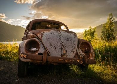 old Volkswagen x nature