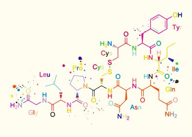 Oxytocin Molecule