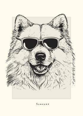 Samoyed IIlustration