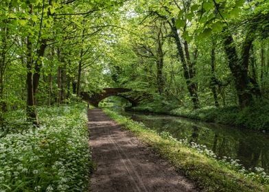 Spring on the Canal