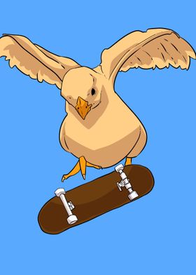 skateboard chicken