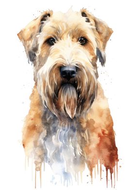 Wheaten Terrier Watercolor