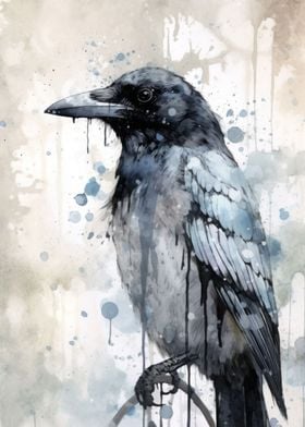 Magpie Beauty Watercolor