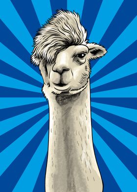 Hipster Llama Meme