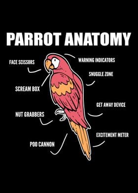 Parrot Anatomy Animal Trai