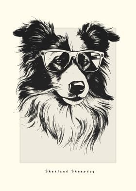 Shetland Sheepdog Sketch