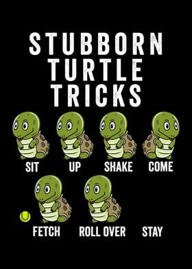 Stubborn Turtle Tricks