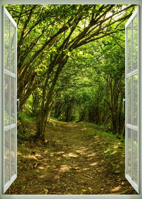 Window view green forest