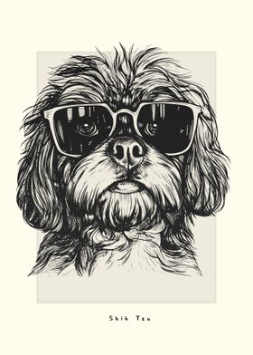 Shih Tzu Illustration