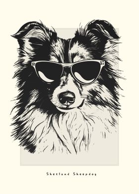 Shetland Sheepdog Sketch