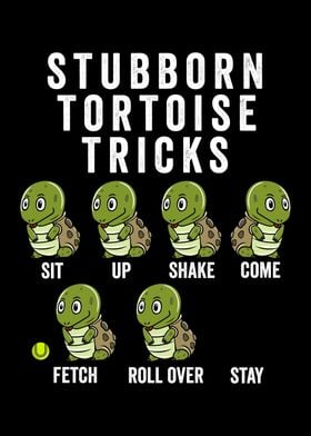 Stubborn Tortoise Tricks 