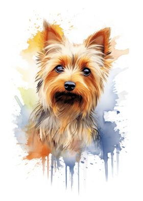 Silky Terrier watercolor