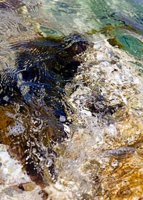 Summer sea rocks close up