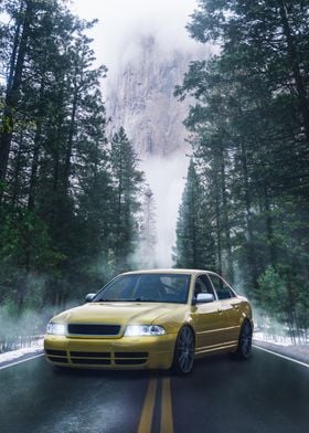Audi S4 Forest