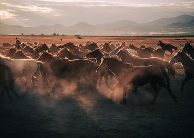 steppe horse