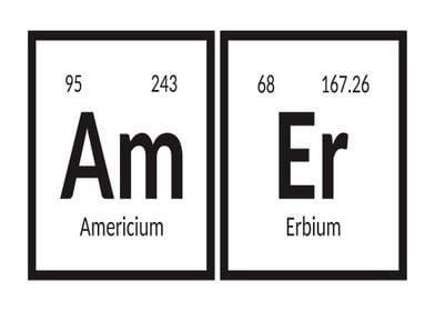 Elements of Amer