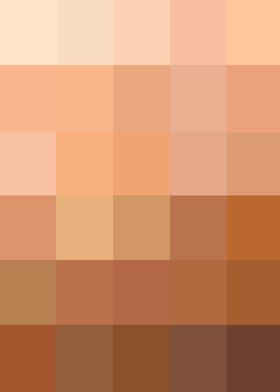 Nude Color Palette