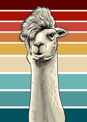 Funny Llama Meme