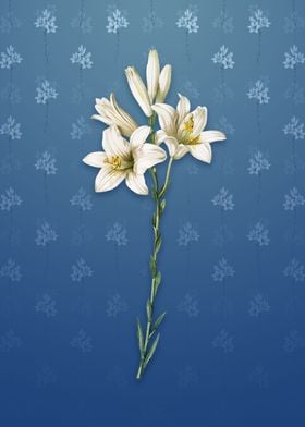 Vintage Madonna Lily