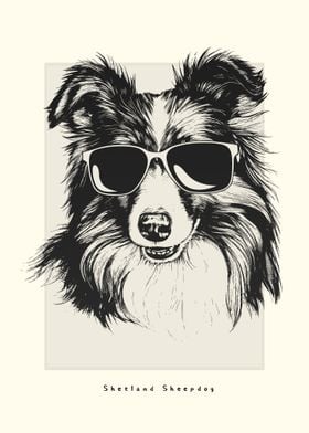 Shetland Sheepdog Sketch