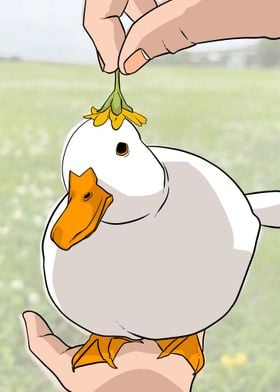 flowers duck