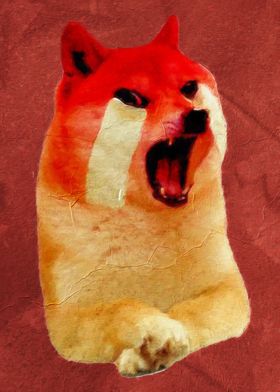 Doge Meme