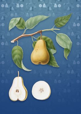 Pear on Bahama Blue