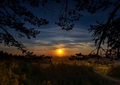 Sunset among the trees