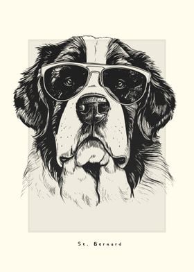 St Bernard Sketch