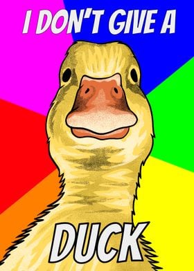 Duck Meme