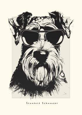 Standard Schnauzer Sketch