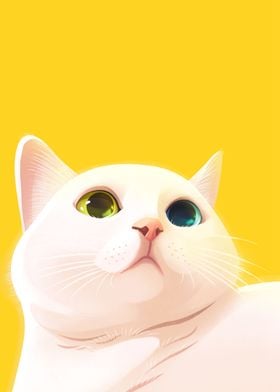 CHUBBY CUTE CAT ON YELLOW