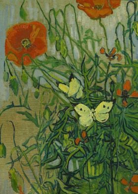 Butterflies and poppies