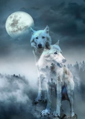 White Wolves and Moon