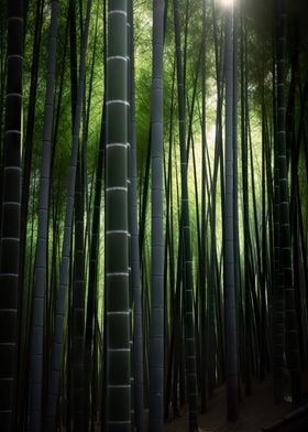 Bamboo