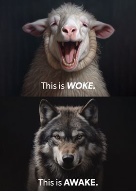 Woke vs Awake Sheep Wolf