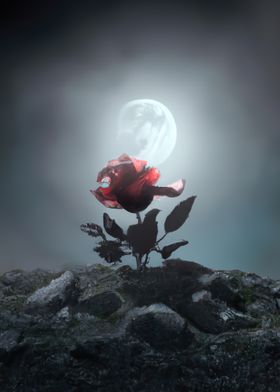 Rose on the Moon